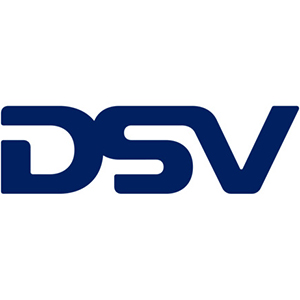DSV logo